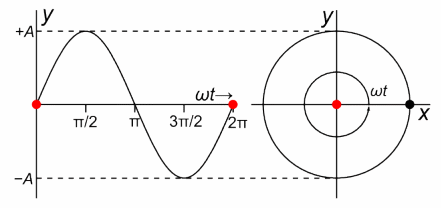 animation of Simple Harmonic Motion