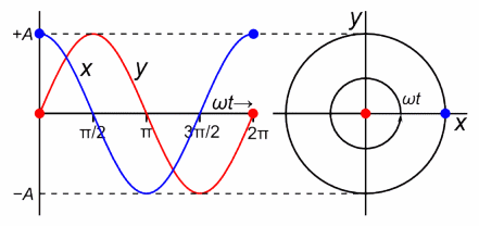 animation of Simpe Harmonic Motion