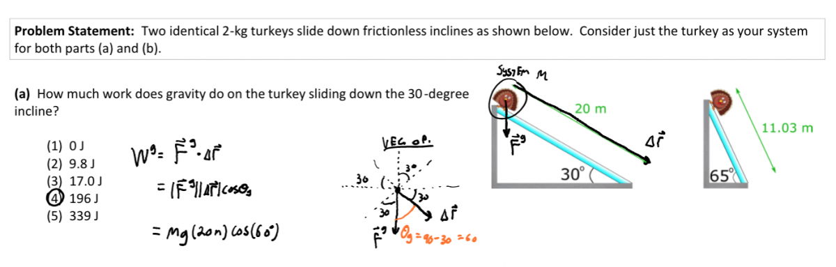 Turkey worksheet solution