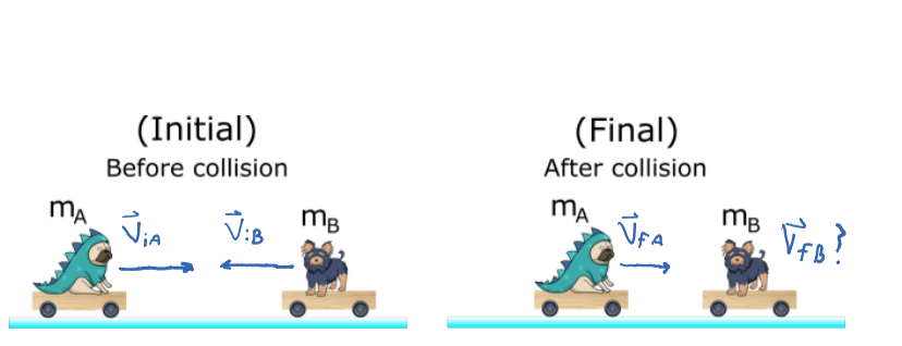Ferocious dragon worksheet solution