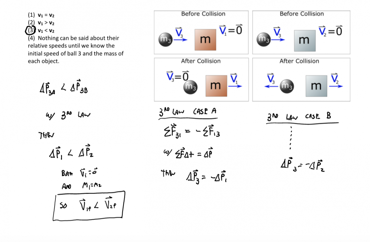 Springiness worksheet solution